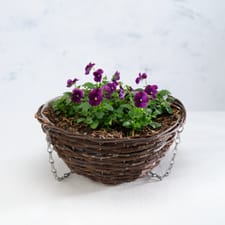 Co-op 25cm (10 inch) Rattan Hanging Basket