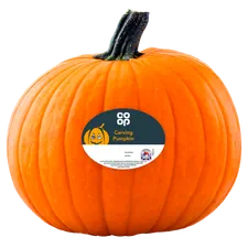 Pumpkins & Decorations